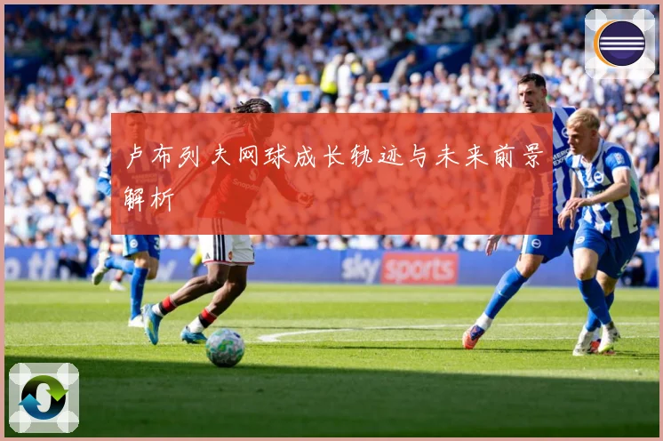卢布列夫网球成长轨迹与未来前景解析