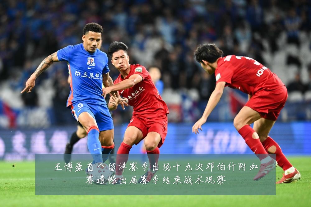 王博豪首个留洋赛季出场十九次邓伯什附加赛遗憾出局赛季结束战术观察